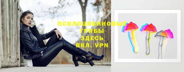 прущие грибы Алексеевка