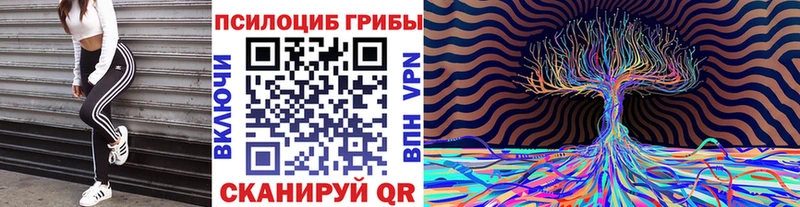 Галлюциногенные грибы MAGIC MUSHROOMS  Кыштым 